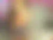 Pour les muscles, les seins et les chattes.