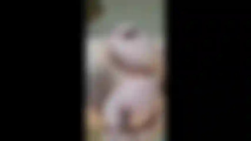 Des pinces sur mes mamelons durs se bouchent et se masturbent.