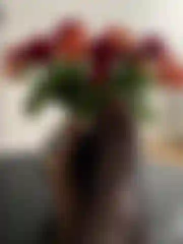 Asmr - adoration du corps.