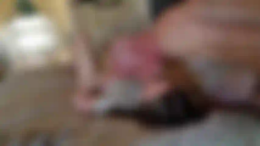 Facesitting rimjob then anal.