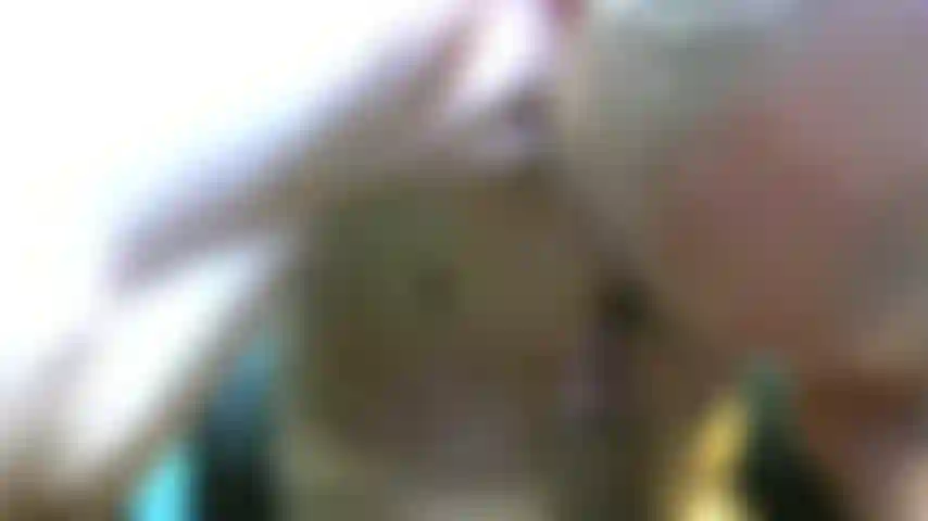 Léchant et pompant cette longue bite.