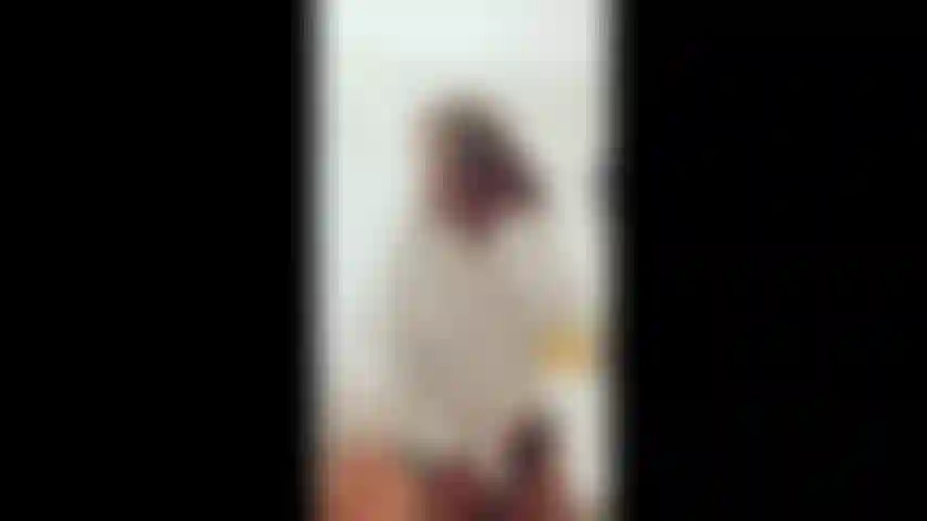 Nosbelle journée avec séance strip-tease !