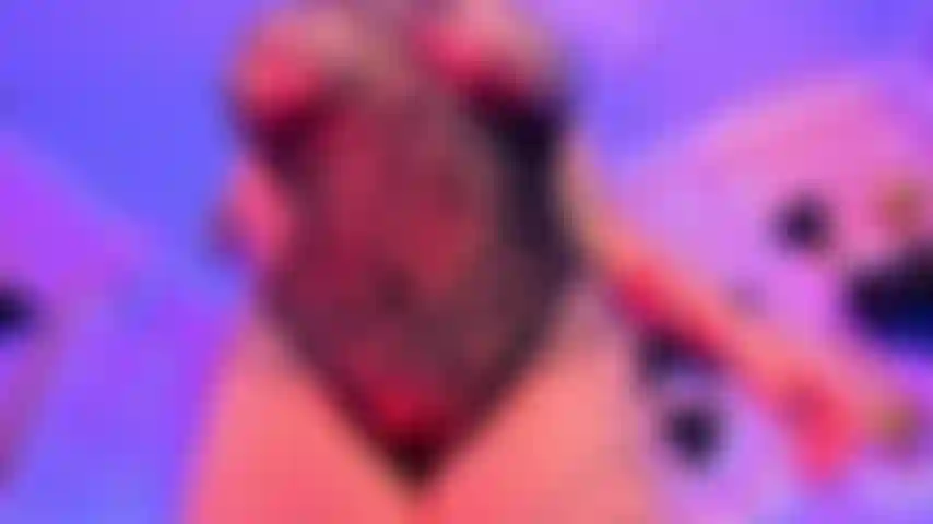 Un corps serré et de gros seins.