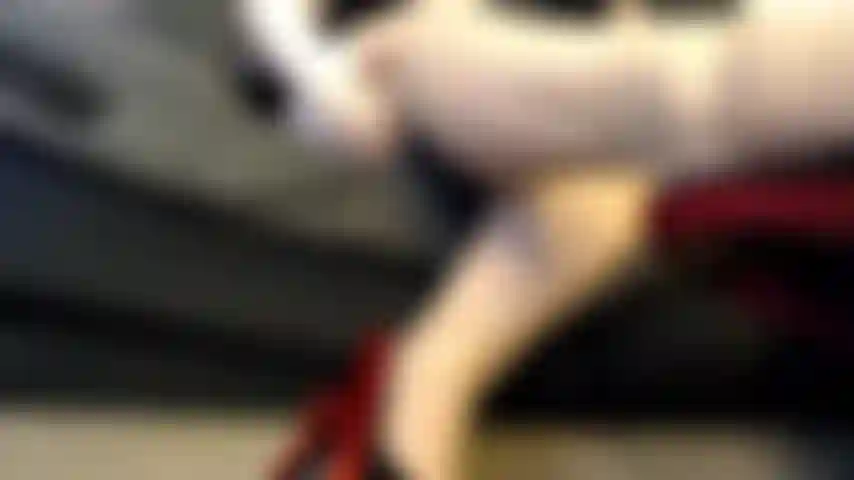 Faible pour les jambes sexy.