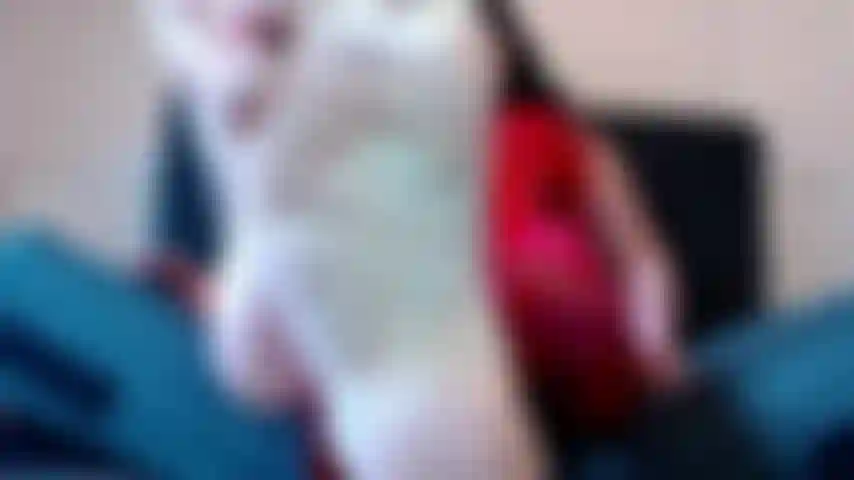 Mes parfaites semelles ridées directement sur ton visage. Est-ce que ça ne fait pas juste vibrer ta bite d'excitation ? Je veux que tu vénères ces semelles parfaites.