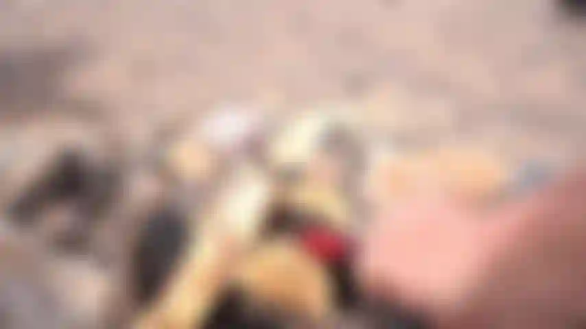 Start my fire See me thank a kind guy for helping me with my campfire,... BOY GIRL outdoor fucking!