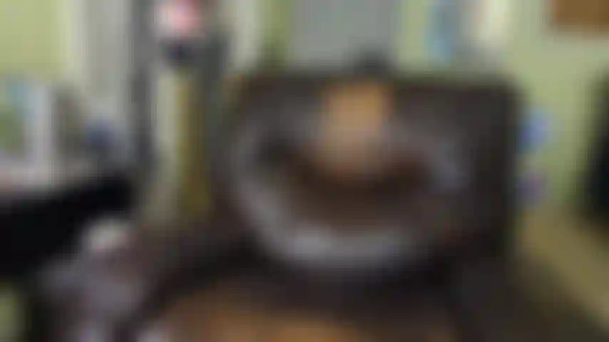 Je mets mon vibromasseur Lovense dans mon trou de butin.