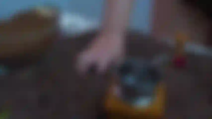 Les anciens dieux aimaient le goût des grains de café.