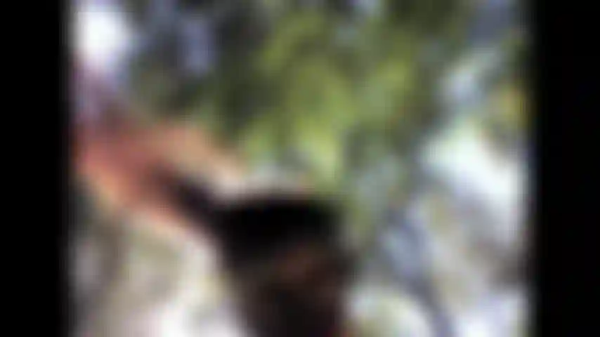 Dansant dans les bois portant des bas noirs et un masque.