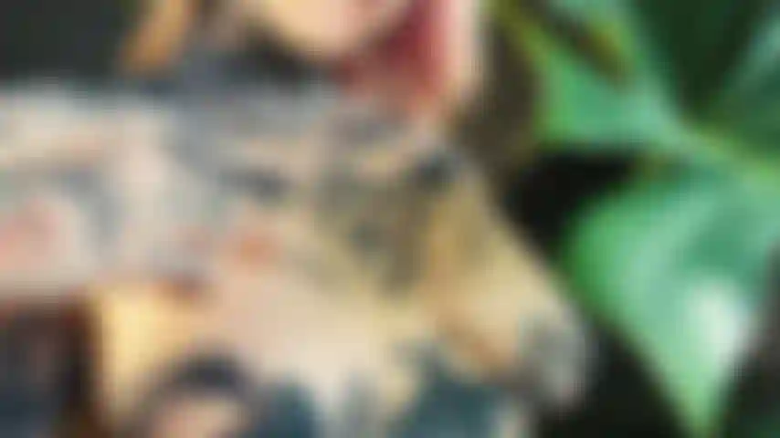 Oiling wet body sensitive playing and cumming^^