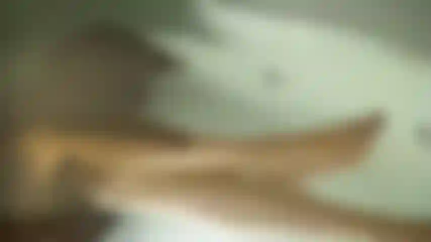 La passion parle en promesses murmurées.