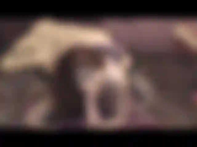 Pov bj sur mes genoux, portant de la lingerie, bavardage.