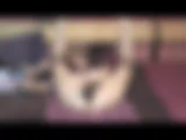 Deuxième partie de mon jeu de rôle coquin jouet gang bang fun ! Sur le dos, en levrette, à cheval, etc.