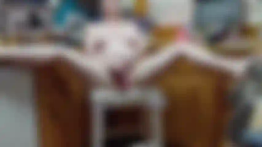 Regarde un pervers qualifié me faire gicler dans ma cuisine.