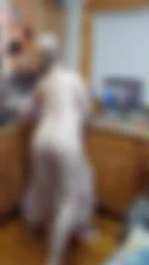 Bonne année squirt pour maître.