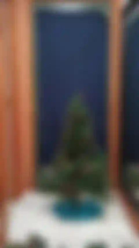 Je décore le sapin de noël.