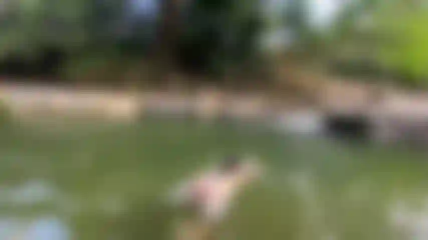 Let's enjoy hot and wet summer