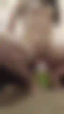 3" Awesome Positions