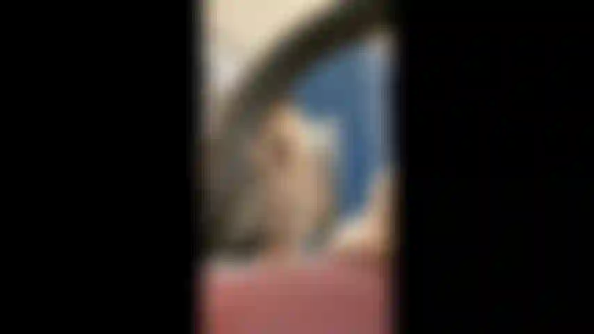 Je regarde une renarde en train de se changer.