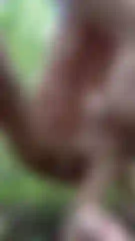 In the wood fingering total naked