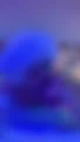 Do you like how I suck your cock until you cum in my mouth?