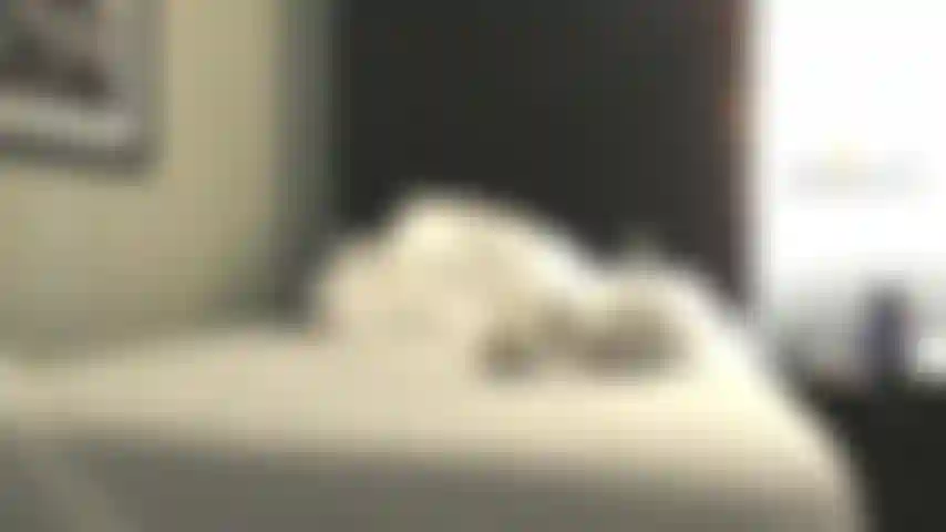 Sushi dans une chambre d'hôtel.