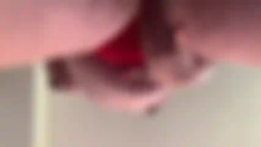 Jeu de chatte enceinte.