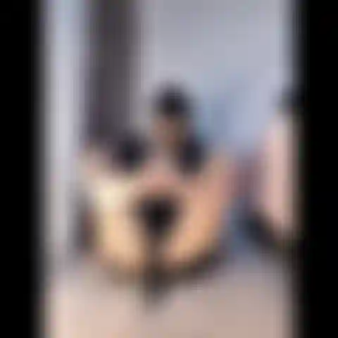 Glisse ta bite sur mes pieds.