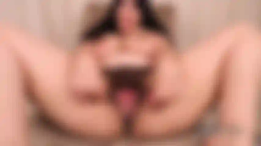 Chatte poilue en gros plan.