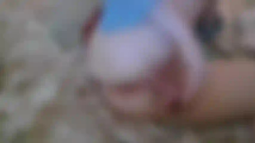 Baise de chatte crémeuse.