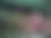 Êtes-vous nouvelle ici et voulez-vous voir un peu comment je me touche ? Eh bien... J'espère que ça vous plaira.