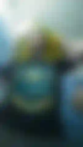 Bref pour mieux me connaître.