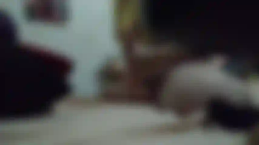 Naruko cosplay, qui se masturbe avec des peluches. Mp4.