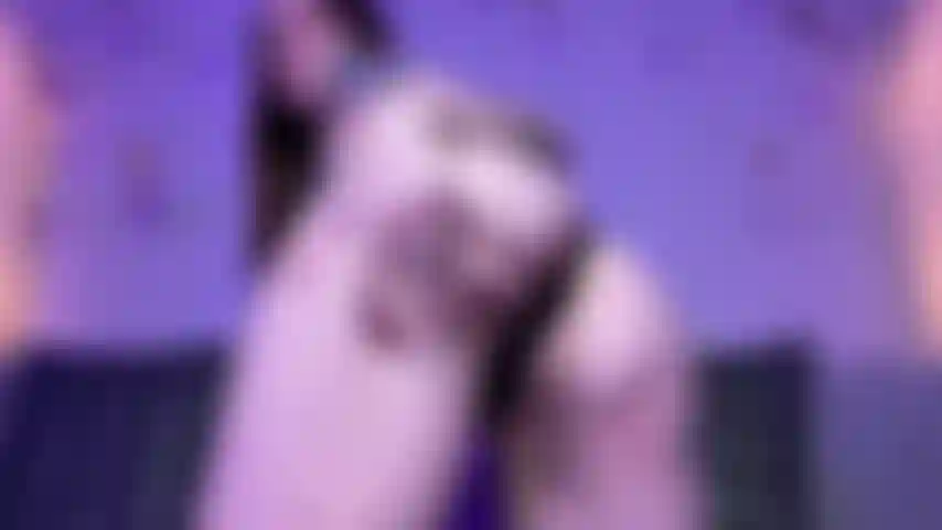 La bobine de bord d'adoration du cul.