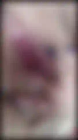 Tu_veux_voir_ma_chatte_juteuse.