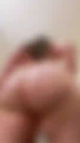 Le butin pov tremble.