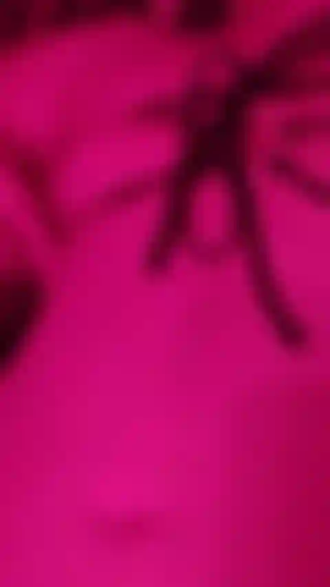 Nipple tease pour toi dans un nouveau bikini.