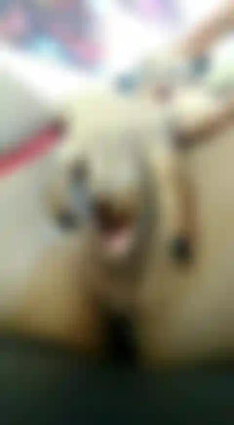 Je doigte la chatte en gros plan.