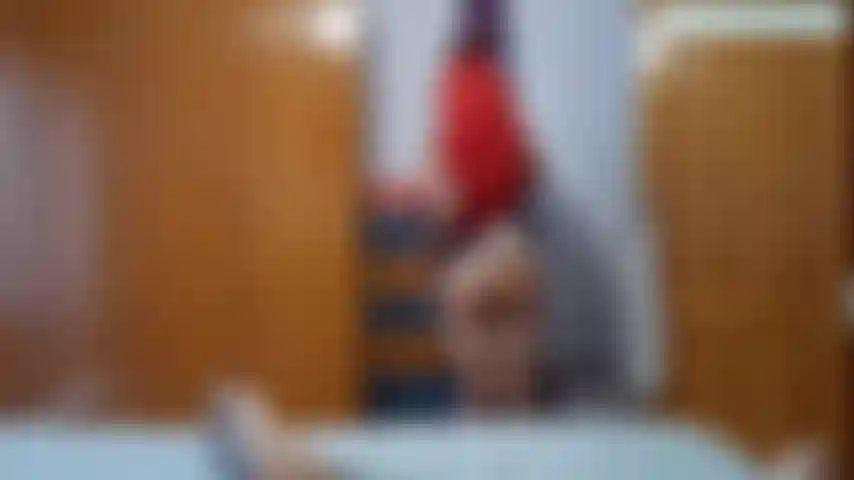 Anal Sex for the Maid