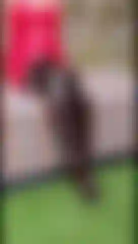 Brown shiny leather thighboots PVC upskirt flash tease nylons & tit play xx