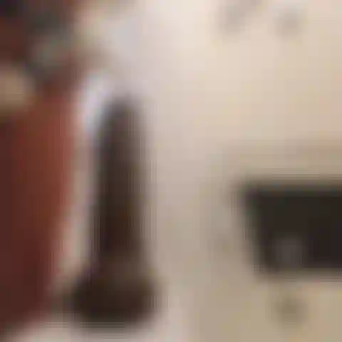 Un énorme gode noir.