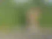 Posant nue dans les champs d'irlande.