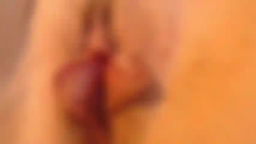 Ma chatte comme un papillon. Zoom.