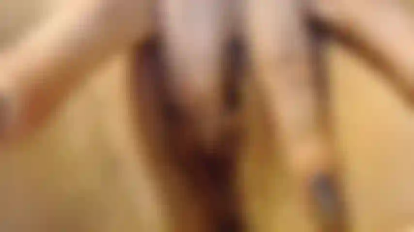 Gros plan de la chatte.