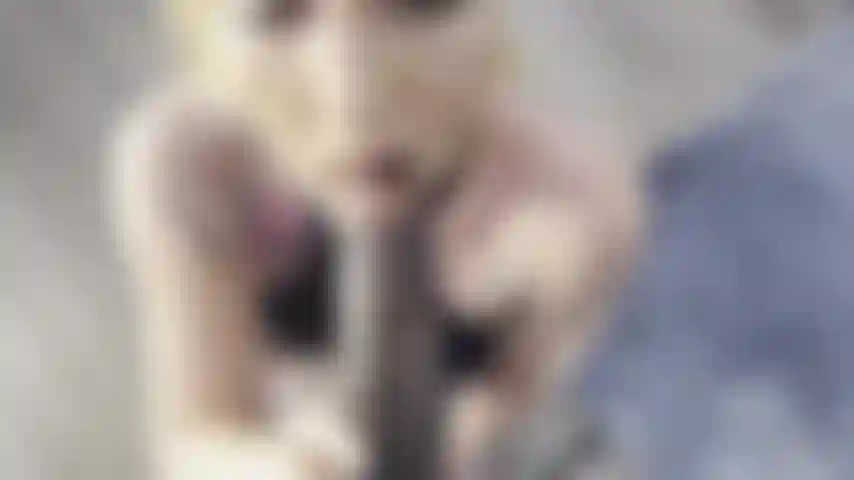 Watch Me Devour All Of This HUGE Cock Presented To Me