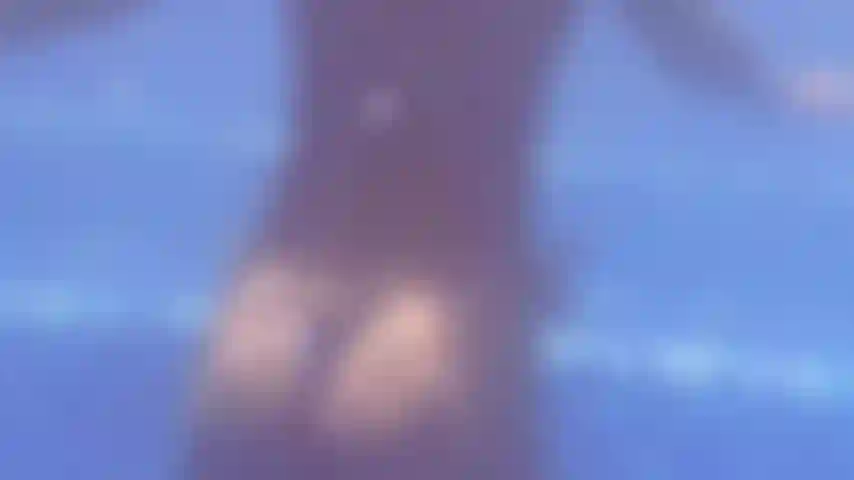 Sentez-moi si proche. Clip pool de cet été.