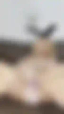 BUNNY masturbating video  grabbed my purple dildo and starting fucking