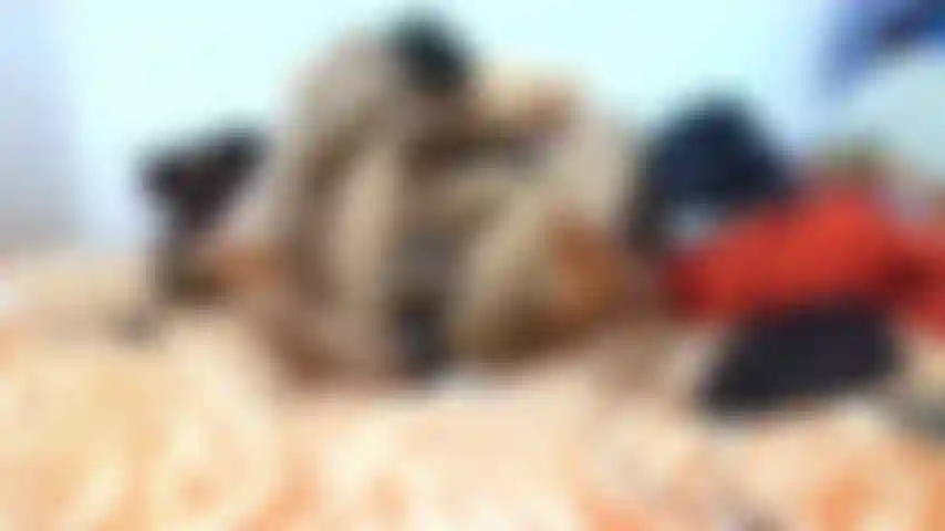 Jim Fucks Himself With Butt Plug