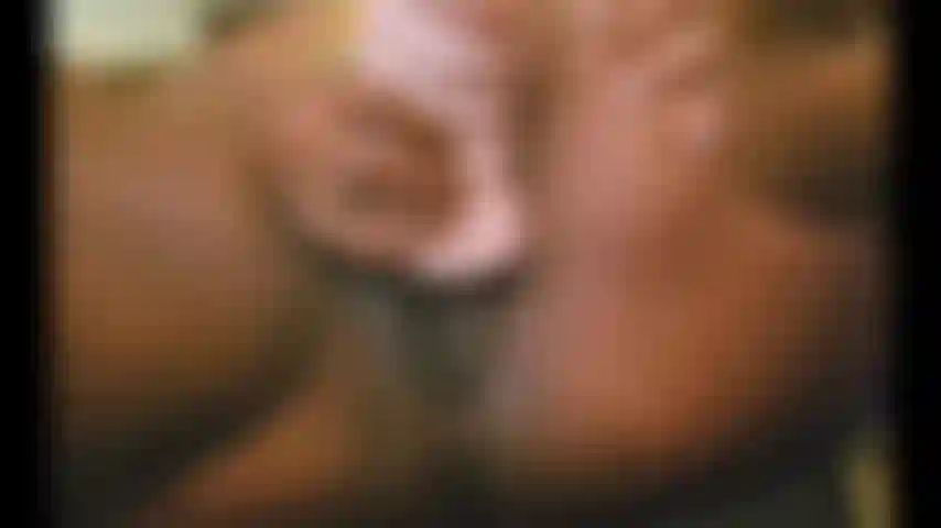 Le jouet pour chatte me fait baver.