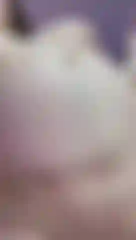 Mik gros ventre enceinte, vidéo hot.